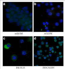 Research application
